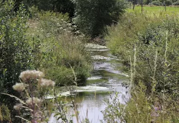 Les ministères de l’Agriculture et de la Transition écologique conjuguent leurs efforts pour faire avancer les projets de territoire pour la gestion de l’eau (PTGE).