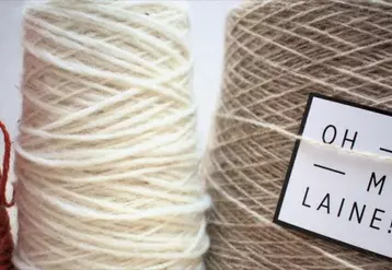 Depuis 2019, le programme « Oh my laine ! », porté par l'association Lainamac, valorise les entreprises de la filière laine qui créent des produits finis dans l'univers de la décoration.