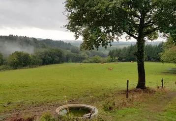 Sécuriser la qualité de l'eau d'abreuvement