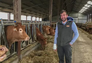 Florian Vilette en pleine complicité avec ses vaches