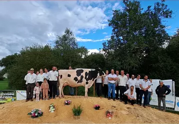 Un groupe d'éleveur encadrent une vache laitière.