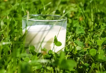 verre de lait dans une prairie commerce équitable