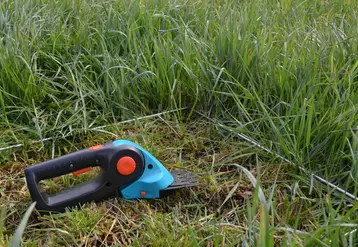 mesure pousse de l'herbe tondeuse à main