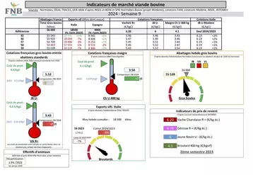 Les indicateurs de marché viande bovine proposés par la FNB sous forme de tableau et graphique