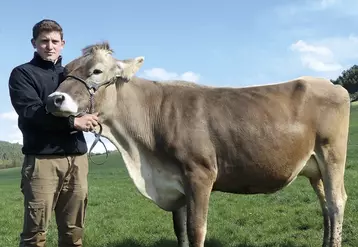 Yoan Valentin et la vache brune qu'il a présenté en concours