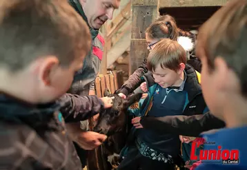 jeunes enfants caressent un veau tenu par son éleveur