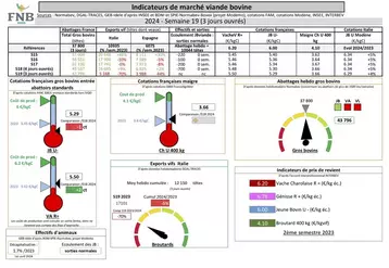 Indicateurs de marché viande bovine