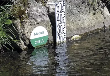 Une échelle graduée sur un cours d'eau