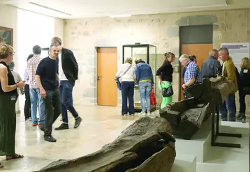 Public dans le musée avec sarcophages ouverts