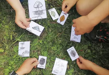 Des enfants apprennent à reconnaître bois et forêts