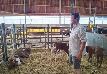 Une homme debout dans une étable avec des veaux