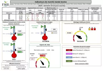 Indicateurs de marché de viande bovine
