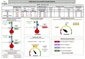 Le tableau des indicateurs de marché de viande bovine