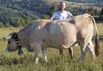 Florian Hostalier et l'une des Aubrac qu'il présentera à Nasbinals le 14 septembre