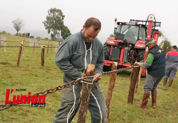 un eleveur en train d'installer une chaine autour d'un piquet en bois