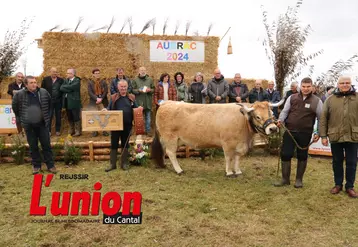 une vache beige au milieu d'un groupe de personnes