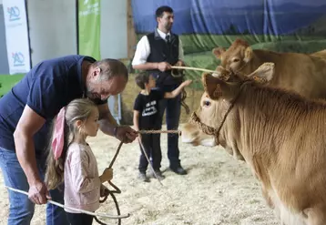 Le concours Qualiviande qui a eu lieu à la grande halle d'Aumont-Aubrac