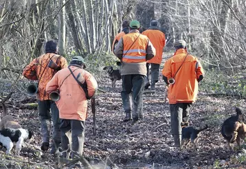 Des chasseurs en forêt avec leurs chiens