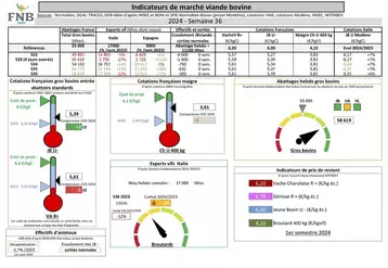 Les indicateurs de marché de viande bovine