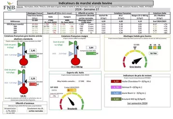 Les indicateurs de marché de viande bovine
