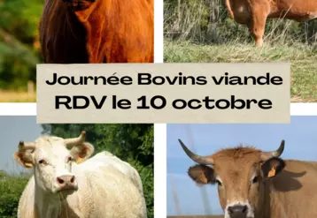 Ne manquez pas la journée dédiée aux bovins viande le 10 octobre prochain.