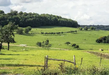 Des parcelles agricoles