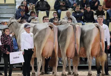 Le concours des lots en Brunes