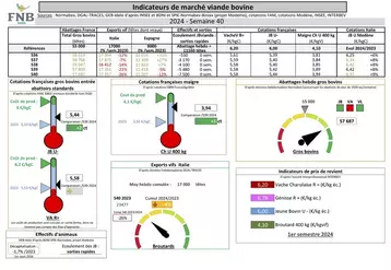 Indicateurs de marché de viande bovine