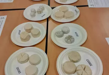 Dégustation de fromages