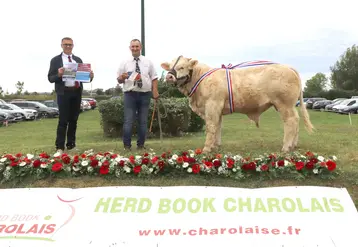 2 hommes et un bœuf charolais primé posent pour la photo