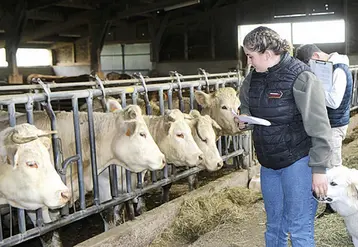 Les élèves en plein concours de pointage sur la ferme de Benjamin Boulard
