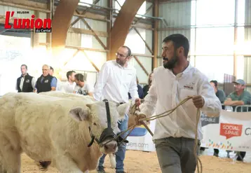 Un éleveur et une vache charolaise