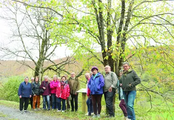 Un groupe de marcheurs le long du chemin arboré