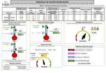 Les indicateurs de marché de viande bovine