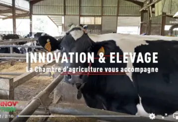 image de la vidéo Innovation et élevage