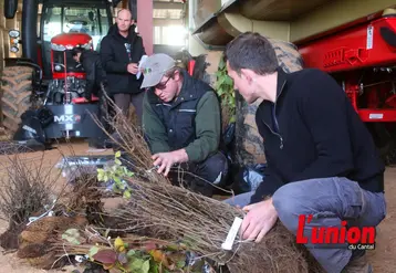 Des agriculteurs choisissent leurs plants de haie. 