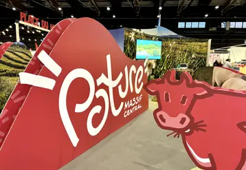 Pancarte pâture rouge avec une vache, dans un salon.