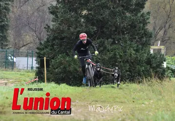 Un garçon sur un vélo tiré par deux chiens 