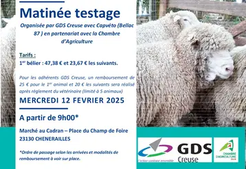 fiche d'information sur la journée de testage