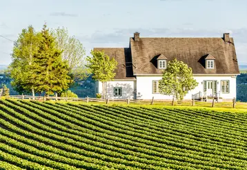 Paysage de campagne avec un champ cultivé et une maison et des arbres en arrière plan