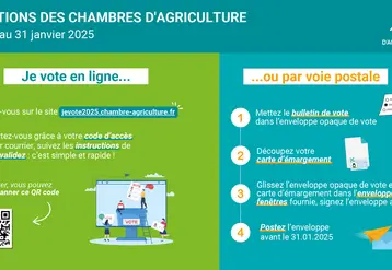 Marche à suivre pour voter par correspondance et en ligne