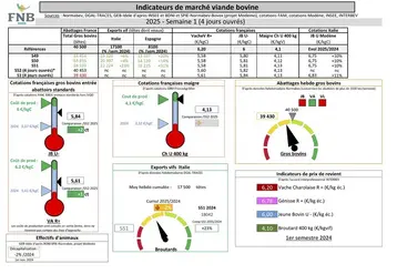 Indicateurs de marché viande bovine