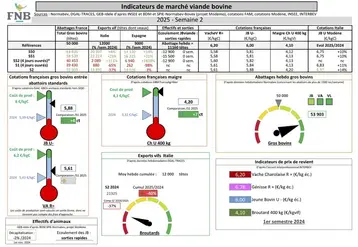 Les indicateurs de marché de viande bovine