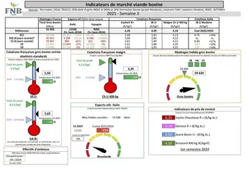 Les indicateurs de marché de viande bovine pour la semaine 3