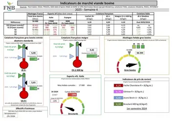 Les indicateurs du marché de viande bovine en semaine 4