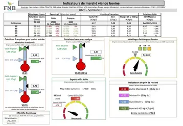 Les indicateurs de marché de viande bovine par la FNB