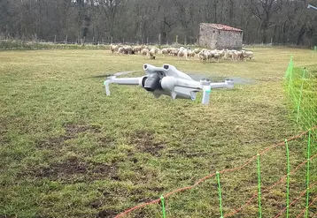 drone surveiller clôtures terrain agricole surveillance sécurité