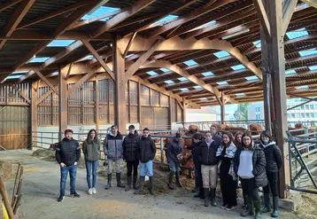 groupe de personnes dans une stabulation