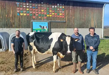 Les éleveurs et Vincent Brunel, conseiller en élevage et animateur de l'association Haute-Loire Holstein, avec Nounou d'Amblard. 