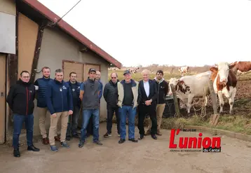 Un groupe de personnes à côté de deux vaches à droite